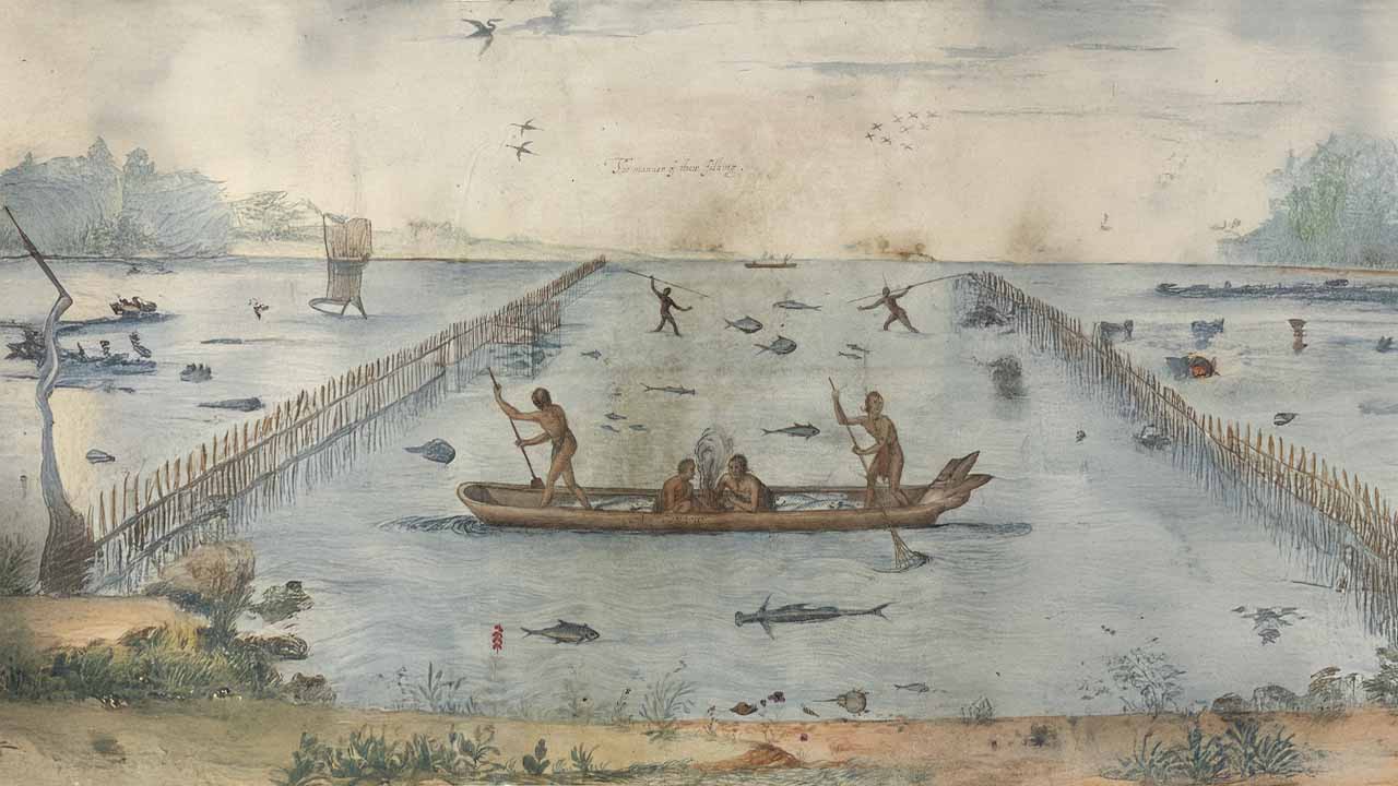 Engraving after John White showing Algonquian people fishing the coastal shallows